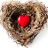 House Insurance Port Elizabeth